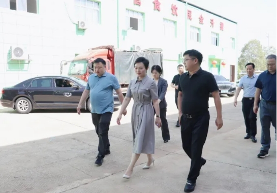 常德市副市长杨成英率团考察禾田甲食品公司