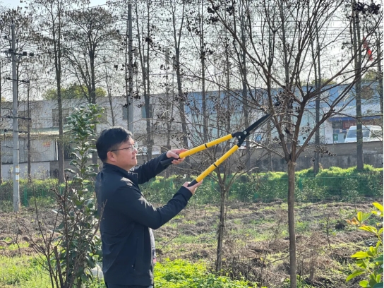 【凝聚绿色共识 共促绿色发展】湖南鳖龟产业园植树活动回顾