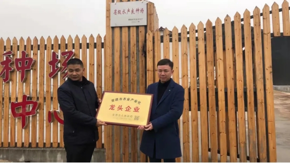 省级水产良种场”“常德市农业龙头企业”禾田公司喜获双份殊荣