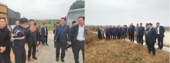 中国工程院刘良院士率国内知名中医药专家、企业家莅临我司指导